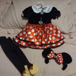 Mommy & Daughter Matching Minnie Mouse Costume's 