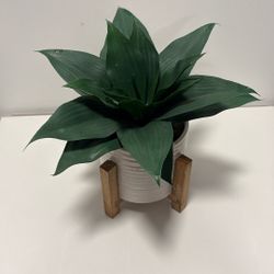Fake Plant 