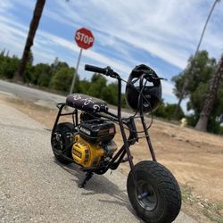 Doodle Bug Mini Bike
