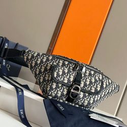 Dior bags both color ways