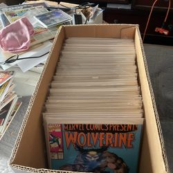 Huge Wolverine comic lot. 92 books all bagged and boarded. Great for collectors or resellers
