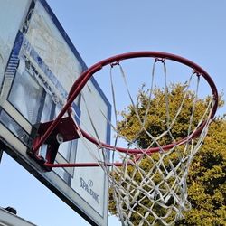 Basketball Hoop 🏀 