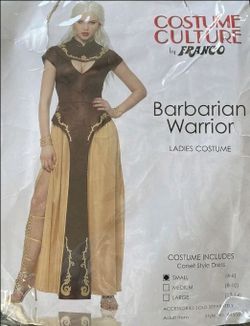 Barbarian Warrior Women's costume