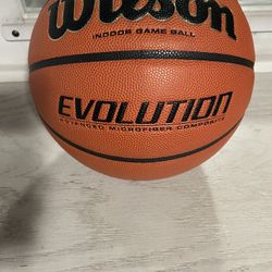 Wilson Evolution Basketball (Size 7)