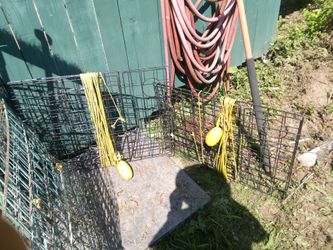 Crab Traps