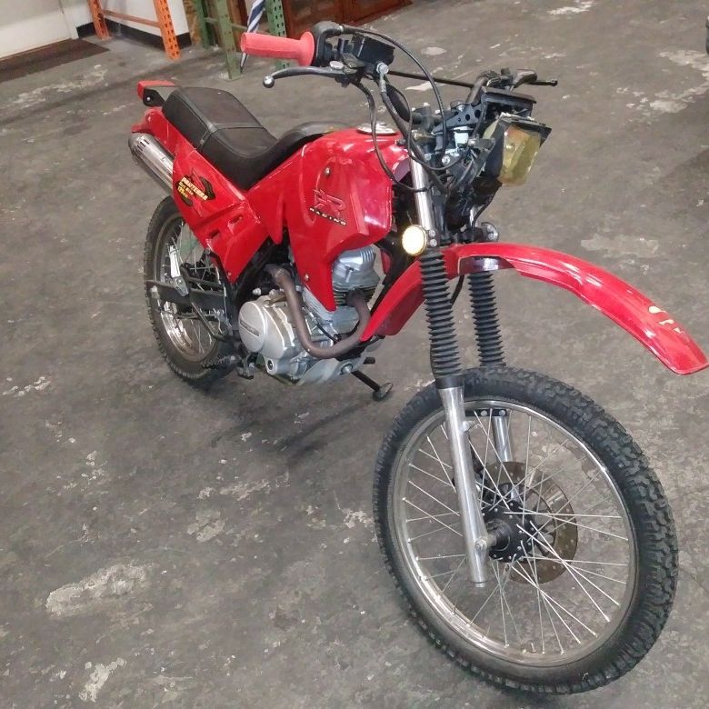 Panterra 125cc 2024 dirt bike