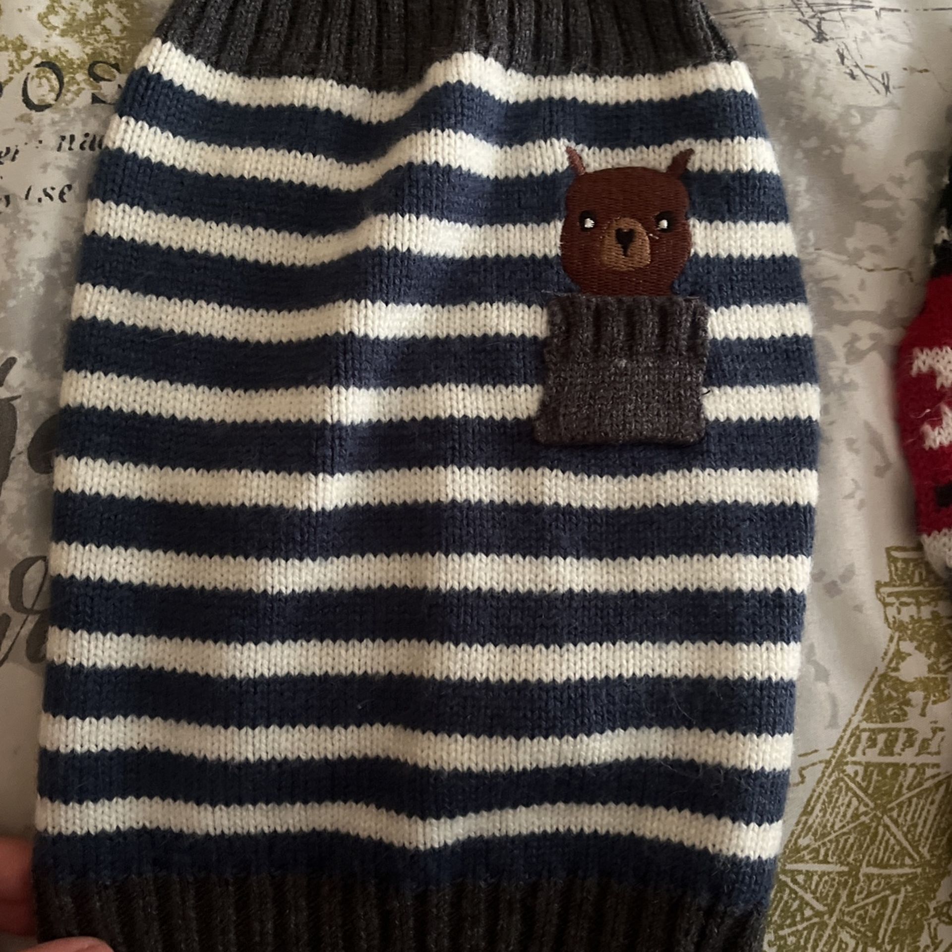 Two Sweaters For Pup