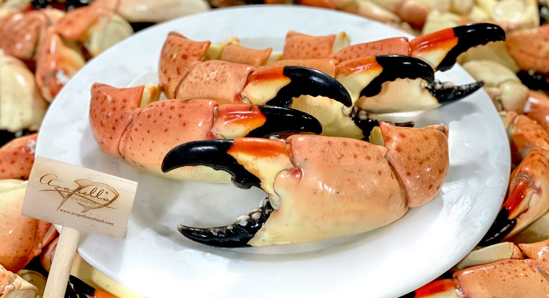 Fresh Stone Crabs 
