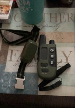 Dog training shock collar