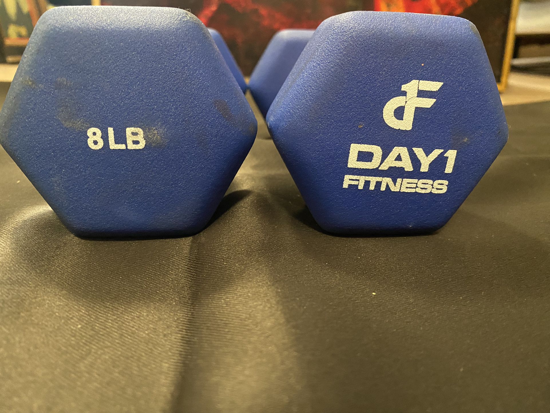 Two 8 Pound Dumbbells 