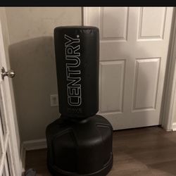 Century Punching Bag
