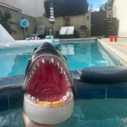 Pool Floating  Shark And Fin