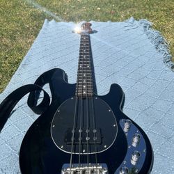 Sterling Stingray 34 Bass Guitar