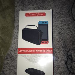 Nintendo Case