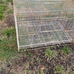 Bird Cages 