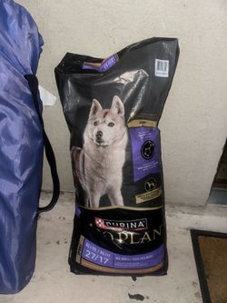 DOG FOOD