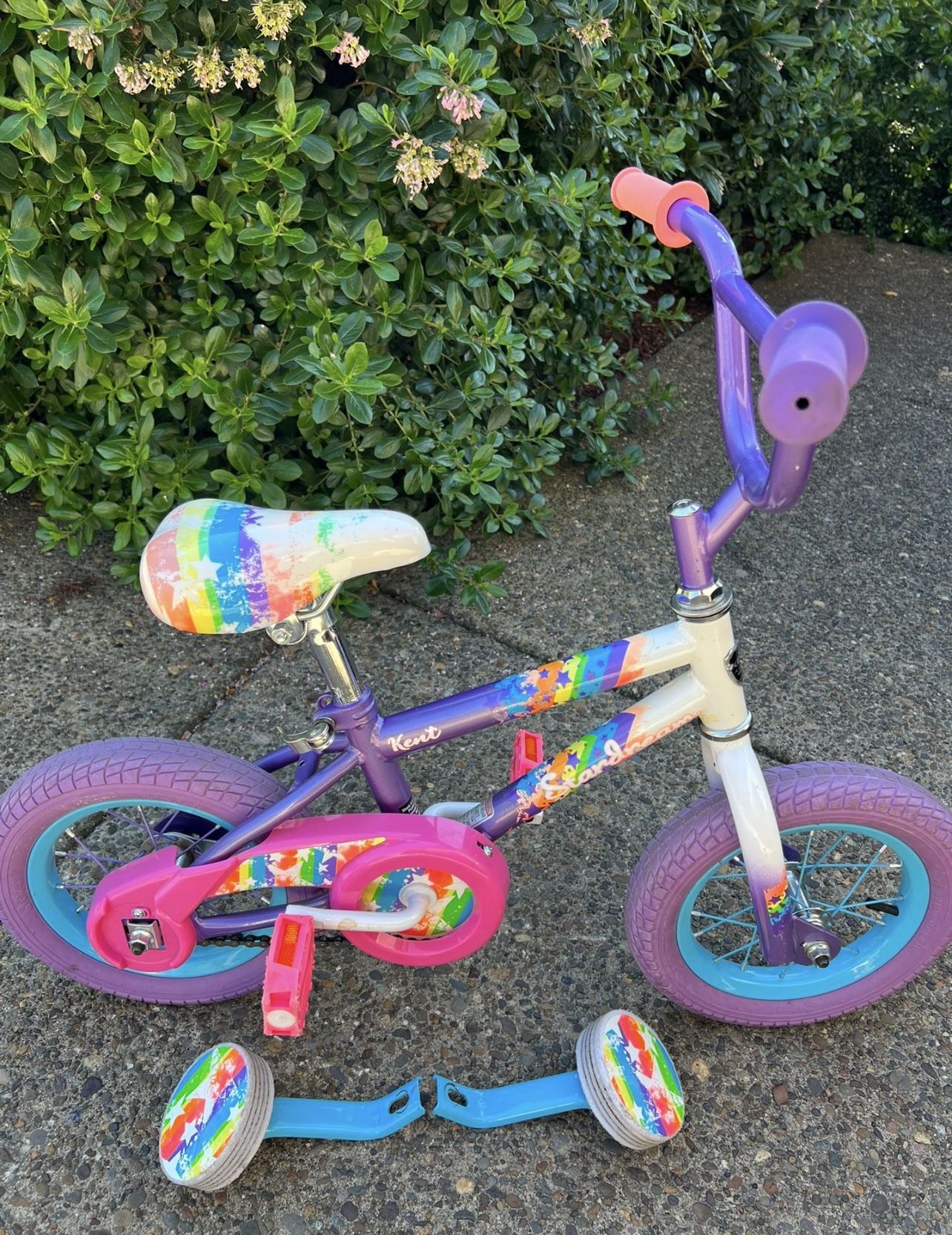 12" Cruiser Air Tires. Removable Training Wheels Included
