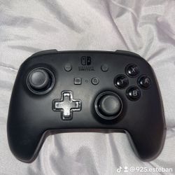 nintendo controller (no box)
