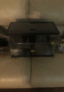 Led 5 gallon tank black background led top underneath heater