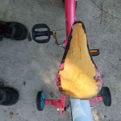 Schwinn Jasmine Girls Bike
