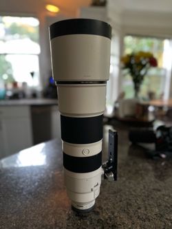 Sony 200-600mm G OSS lens!!!