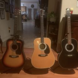 Acoustic Guitars 