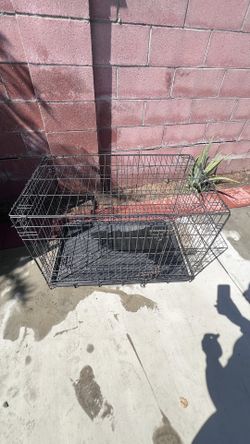 Dog Cage