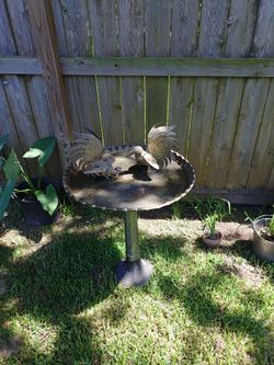 Bird bath