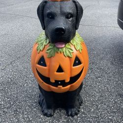 Black Lab Halloween Dog Blow Mold Ghost LED 2025  2.5 Ft NEW