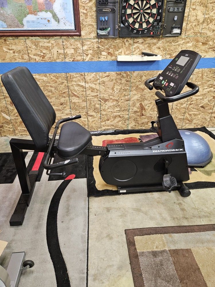 Diamondbacks 1100R Recumbent Exercise Bike
