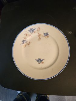 Vintage Homer Laughlin China Company  "Empress Bluebirds"