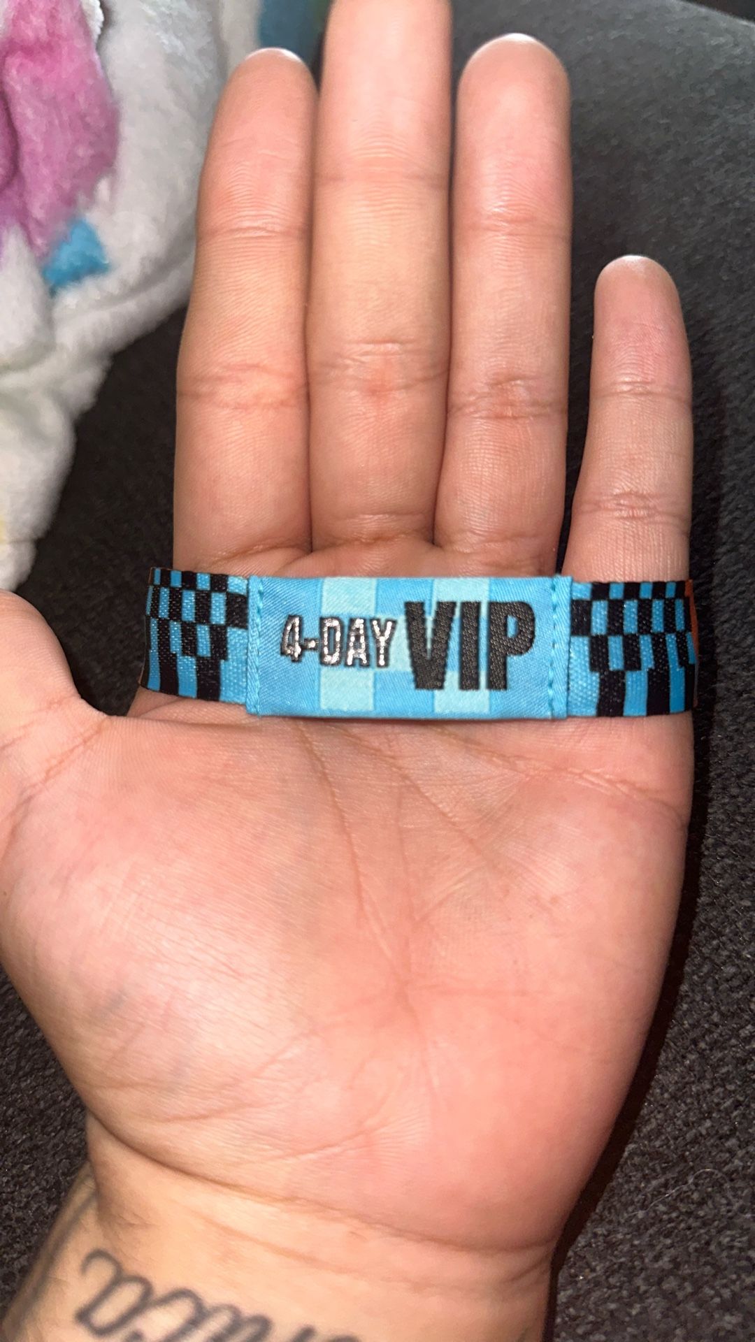 4 DAY VIP LOLLAPALOOZA