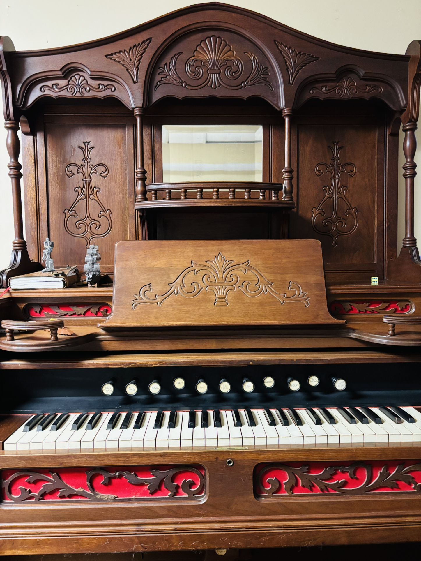 Organ