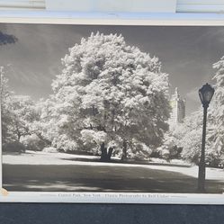 Framed art print titled  Central Park, New York.