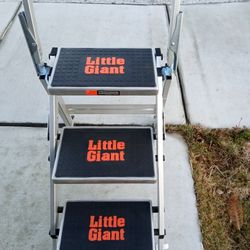 Little Giant Ladder