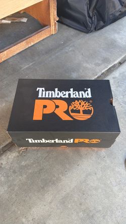 Timberland Steeltoe Shoes