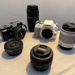 Cameras + Lenses