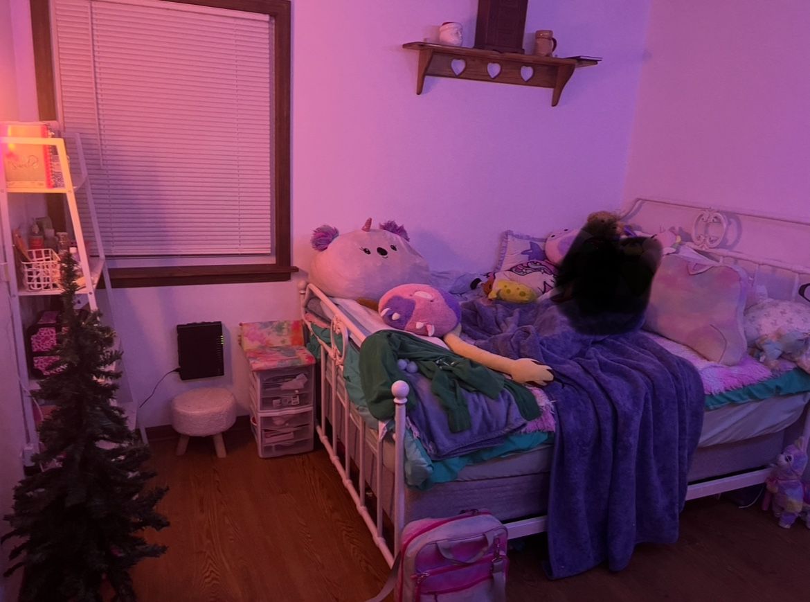Full Size Bed