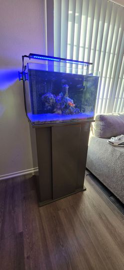 30 gallon reef tank