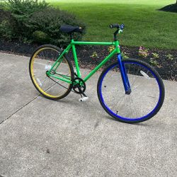 Thruster Cruiser Bike