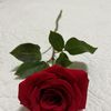 Alla