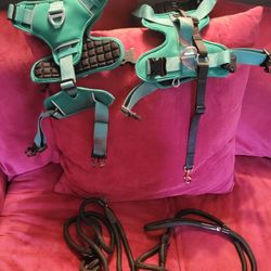 Dog Harnesses