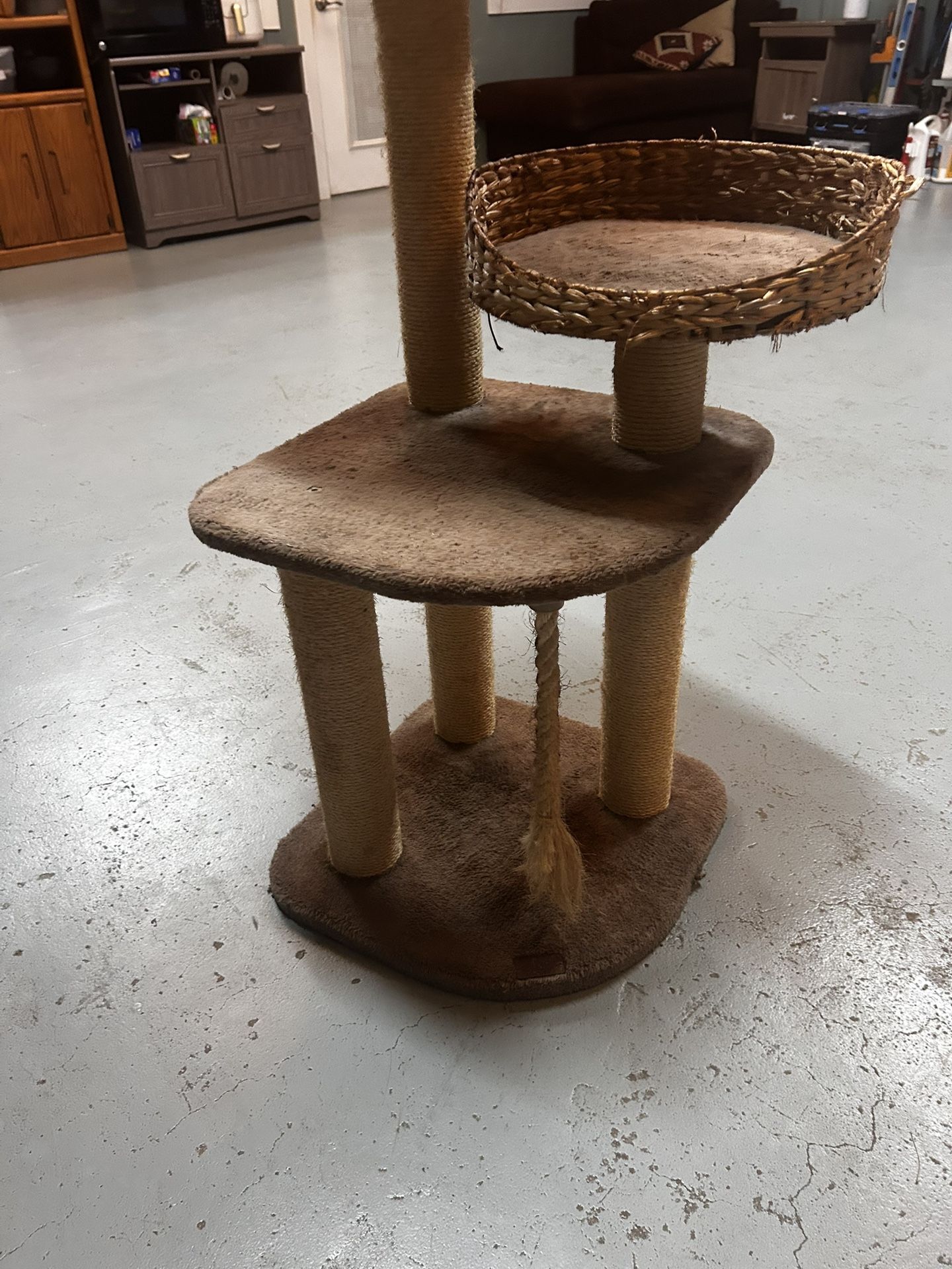 🐾 BIG Cat Tree – Only $30 (Retails $100+) – Your Cat Will Thank You 🐾