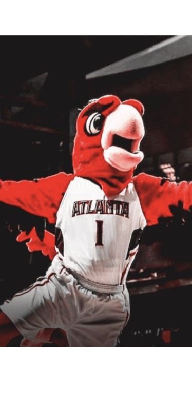 Hawks tickets