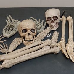 Various Bones