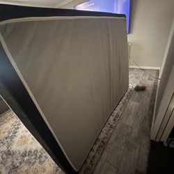 Free Queen Mattress 