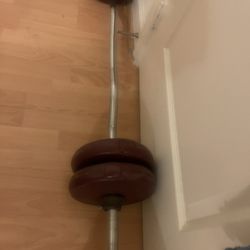 Curl Bar