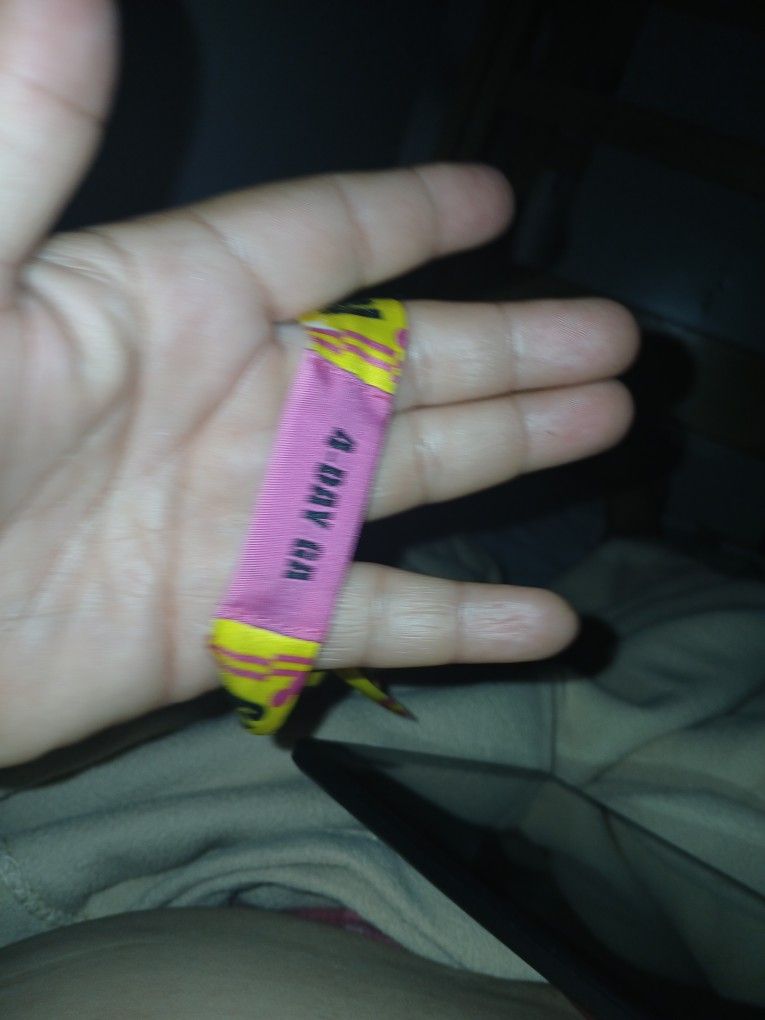 Lollapalooza Sunday
