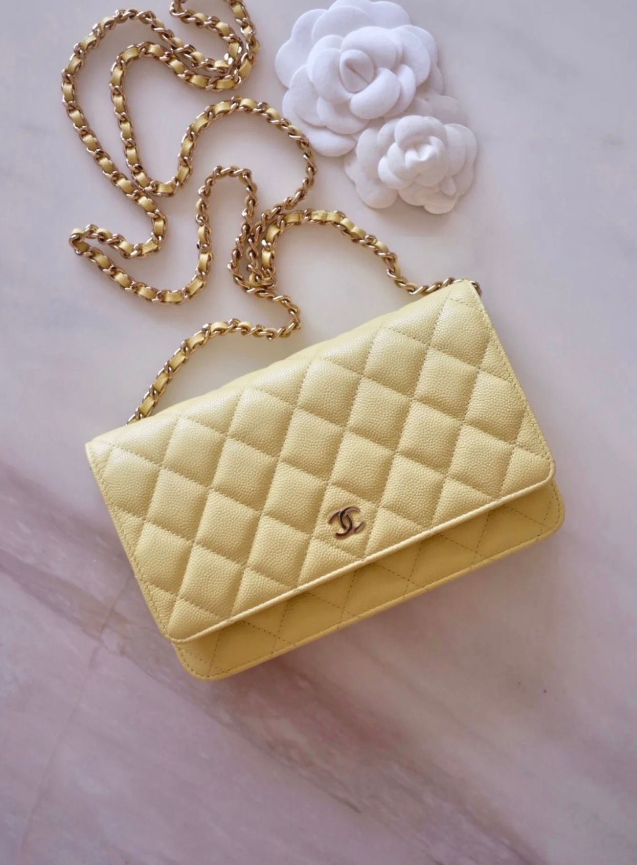 Authentic Chanel Wallet on Chain WOC