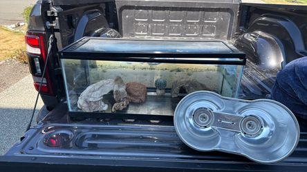 Reptile Enclosure/Habitat + heat lamp